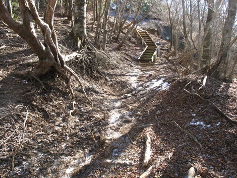 20181214hike (228)